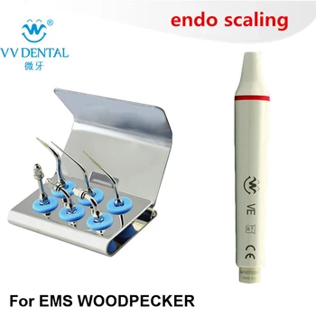 Dental Scaler Endo Tip Kit with dental handpiece fit Woodpecker EMS equipment for scaler endodontics microscopes in endodontics