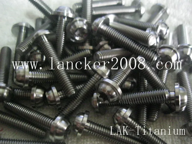M6x30 Gr5 Trox/шестибулярная панорамная головка с фланцевым винтом/болтами для