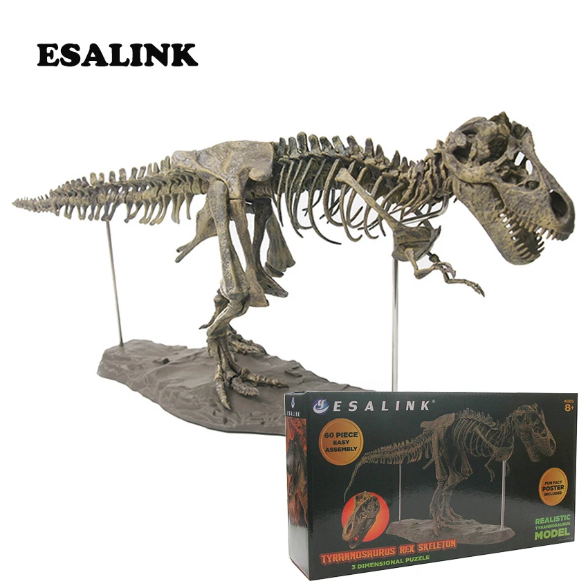 

2019 Hot 4D model T-rex skeleton fossil large pvc Animatronic model diy puzzle toy for children dinosaur model with box