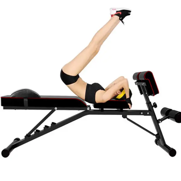 Multifunctional Sit Ups Roman Stools Commercial Fitness Equipment