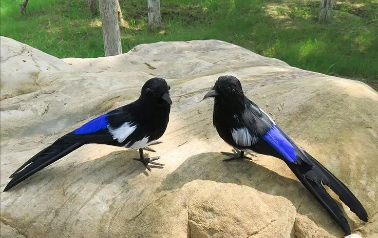 real life toy bird feathers magpie about 22cm vivid birds one pair lovers magpie model garden Decoration props toy gift h0989 22cm zelda game peripheral buildmoc master sword tear of the kingdom shield weapon model toy sword cosplay kid toy gift for boy