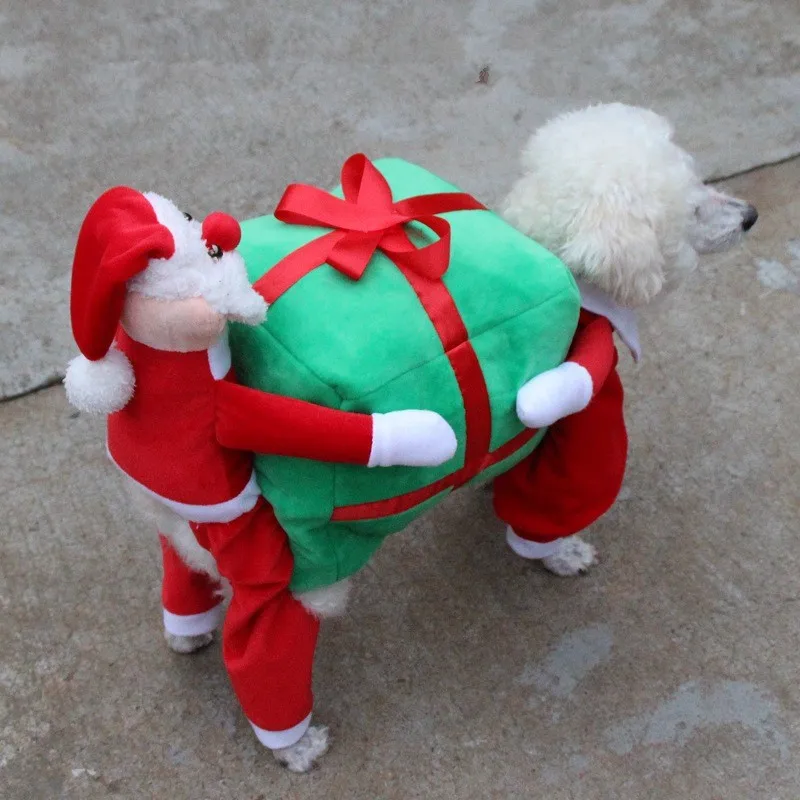 Christmas Dog Clothes (2)