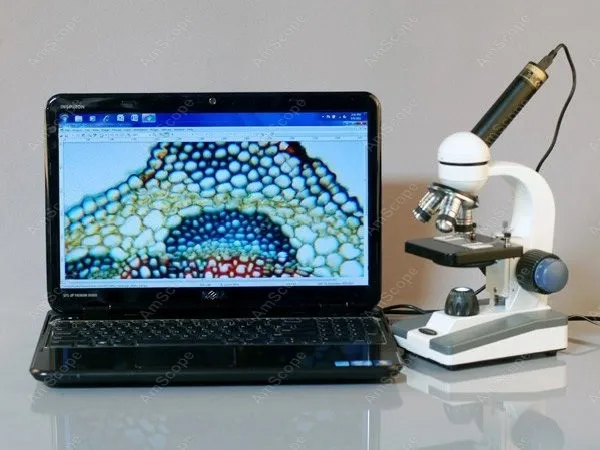 AmScope M150 시리즈 휴대용 학생용 단안 복합 현미경 40X-1000X+ LED 및 10개 슬라이드 키트