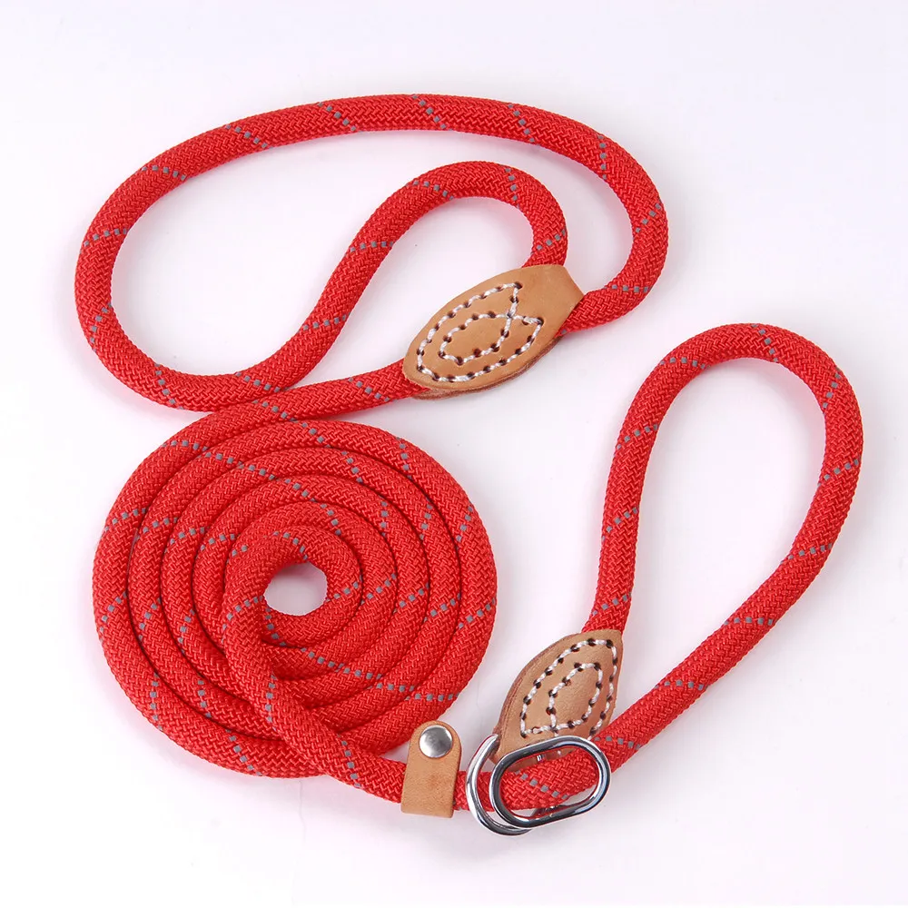 Pet Products Dog Leash Nylon Reflective Puppy Dog Leash Rope Cat Chihuahua Pet Leash And Collar Set Cat Dog Leashes Lead Harness (16)