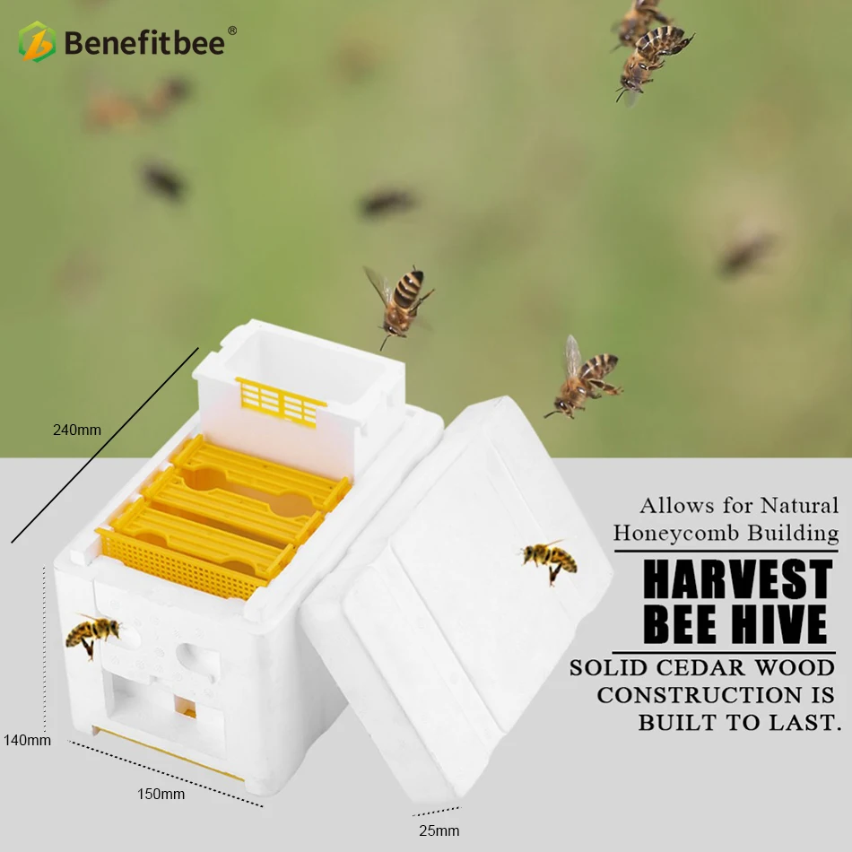 Benefitbee Hive Box Harvest Beehive Queen Pollination Beekeeping For Bee Mating Copulation Queen Reserve Beekeeping Tool pk wood Benefitbee Hive Box Harvest Beehive Queen Pollination Beekeeping For Bee Mating Copulation Queen Reserve Beekeeping Tool pk wood