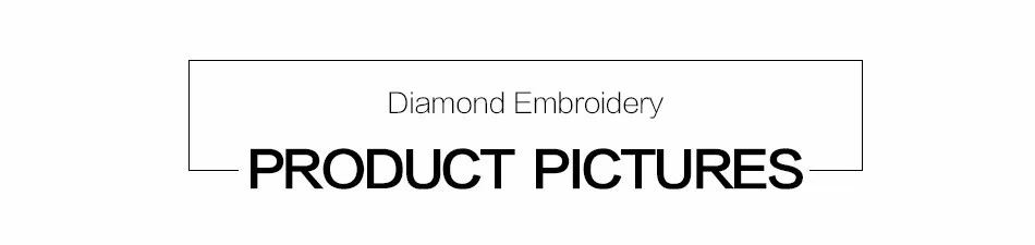 HTB12on3LFXXXXa9XXXXq6xXFXXX5