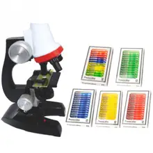 12 шт./кор. образования растения Пластик образец готов шлепанцы без задника с открытыми пальцами; Животные биологический образец просветить детский микроскоп