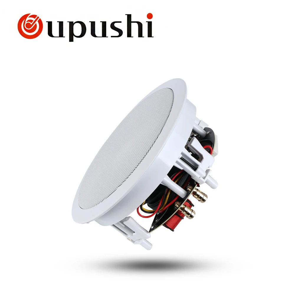Oupushi VX5 C двухчастотное разделение высококачественный динамик с Wi Fi 5 25 дюйма 20 Вт