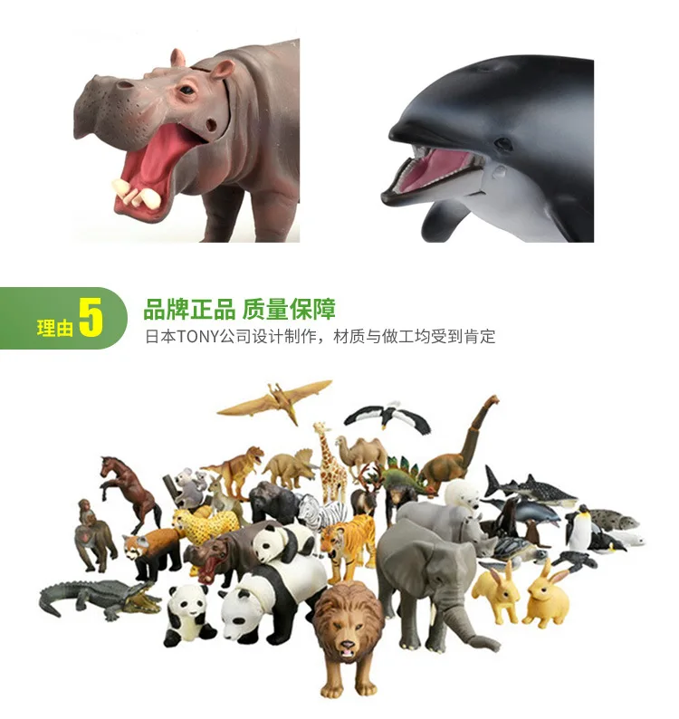 Такара TOMY Wild Animal World модель игрушки морской лев лесной Король тигр фигурка героя Обезьяна Кролик Зебра детские куклы для малышей Подарки