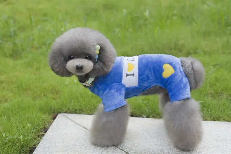 Y102_New_Winter_clothes_for_pet_dogs_Warm_Fleece_4_legs_clothes_Love_Mommy_Daddy_Small_dediumn_dog_Overall_clothes_ (9)