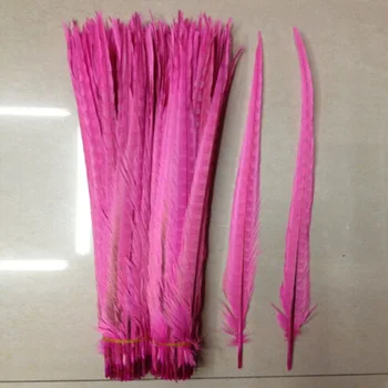 

Wholesale 220 PCS / lot of beautiful pink chicken tail feathers 50 to 55 cm 20-22 inches celebration decoration