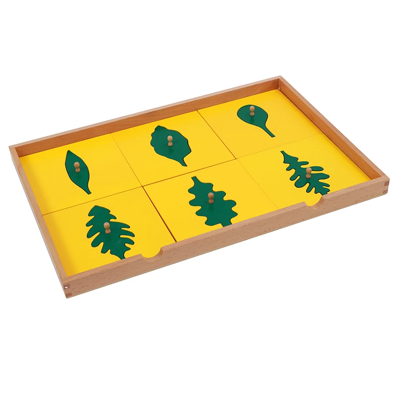  Baby Toy Montessori Botany Leaf Cabinet with Insets Early Childhood Preschool Kids Brinquedos Jugue