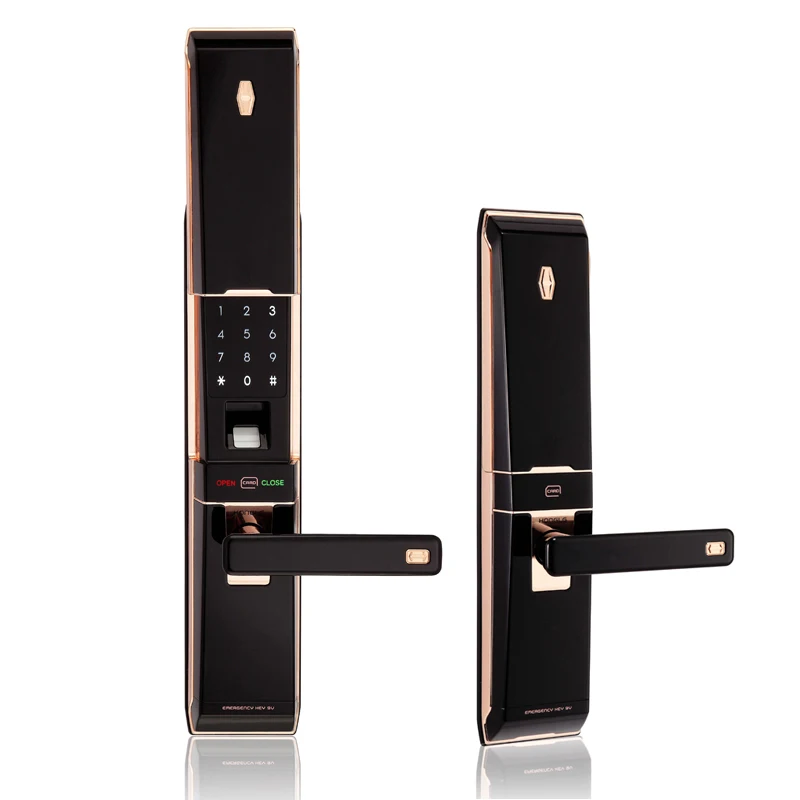 Biometric Fingerprint Scanner Door Lock Smart Home Door Lock Fingerprint for outdoorin Electric