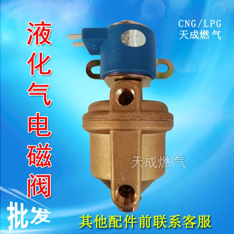 LPG The electromagnetic valve Control valve