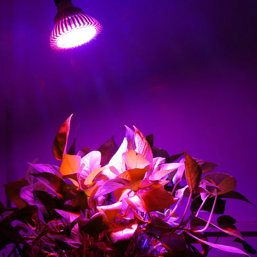 Саженцы растений фитоламповая лампа для освещение растений полный спектр светодиодный свет для выращивания растений светодиодный s лампа для растений семена цветов аквариум
