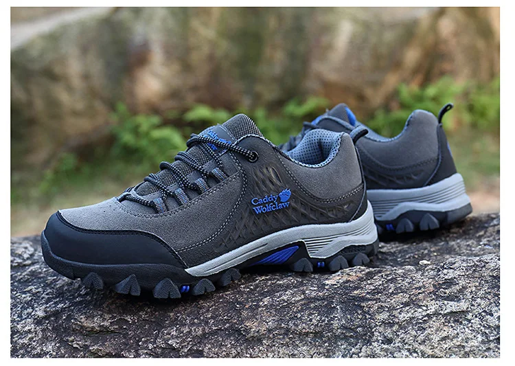 9120800424_200365450