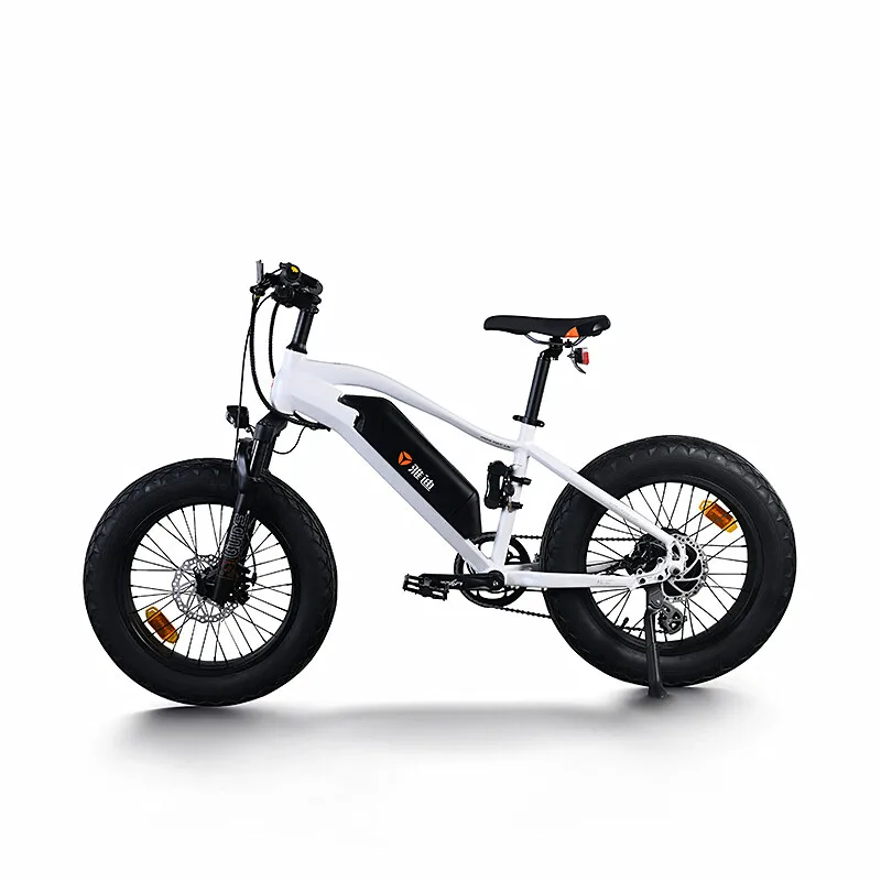 cygnus fat bike 20