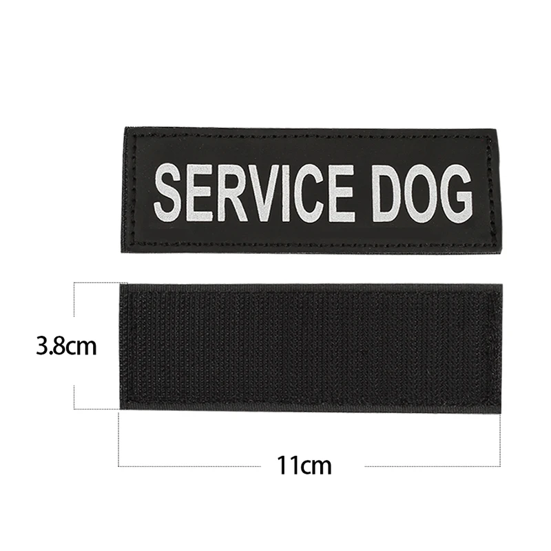 service-dog