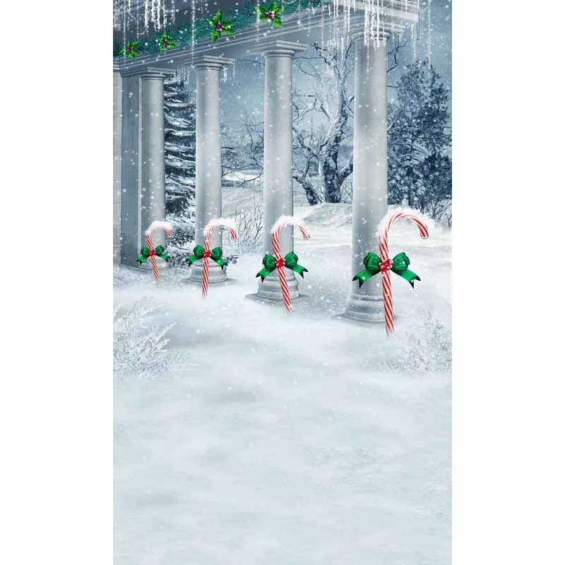 

2X3m free shipping Thin vinyl Photography Studio Senior Vinyl Background Digital print Christmas Backdrops ST-298