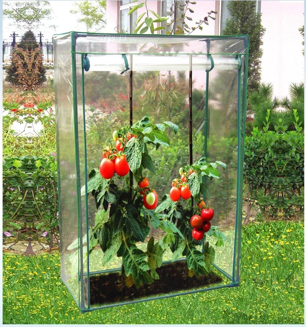 Tomato Growbag Growhouse Mini Outdoor Garden Greenhouse With Pvc Tomato Growbag Growhouse Mini Outdoor Garden Greenhouse With Pvc Cover 67