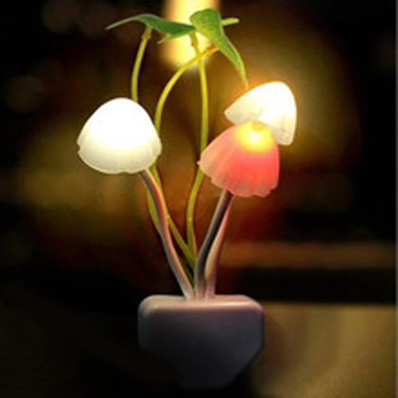 1514690355_1370439761.220x220