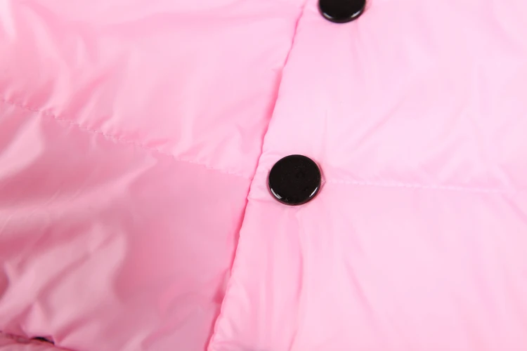 c0005