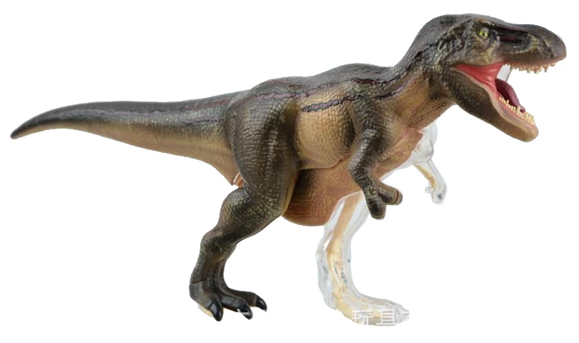 dinosaur anatomy toy