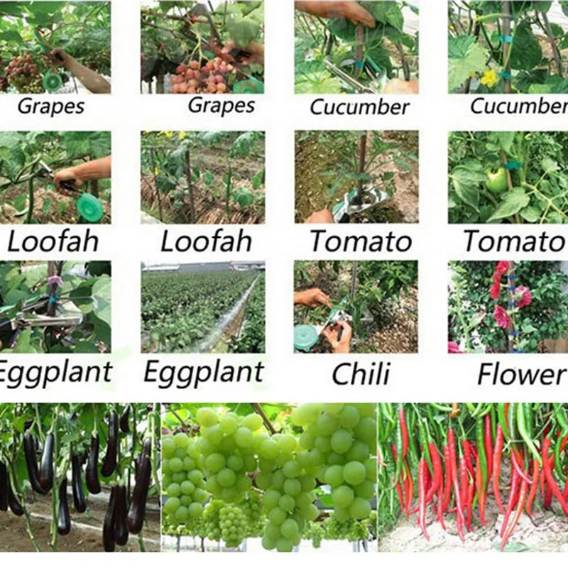 Ветка лозы Связывание ленточная машина галстук степлер фрукты Кол ремень лента багажник ручной Связывание виноград ветка лоза огурец мускадин Томатный