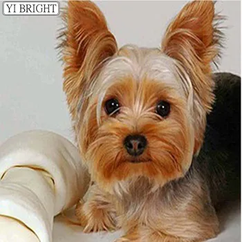 

Full,Diamond Embroidery,Animal,Yorkshire Terrier Dog 5D,Diamond Painting,Cross Stitch,Diamond Mosaic,Needlework,Crafts,LK1