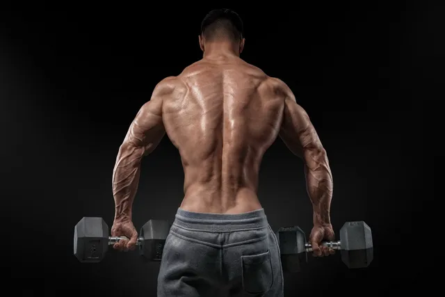 muscular men bare muscle back bodybuilder workout yr033 living room