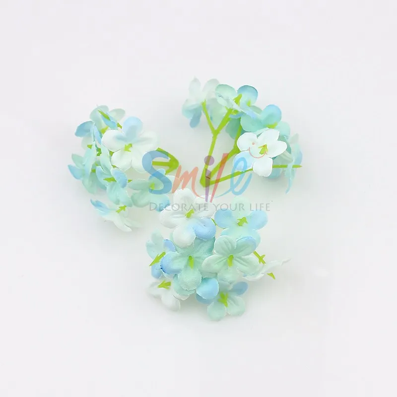 sky Blue 1
