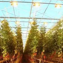 E27 светодиодный 70W теплица лампа роста растений лампа натрия трубчатая белая