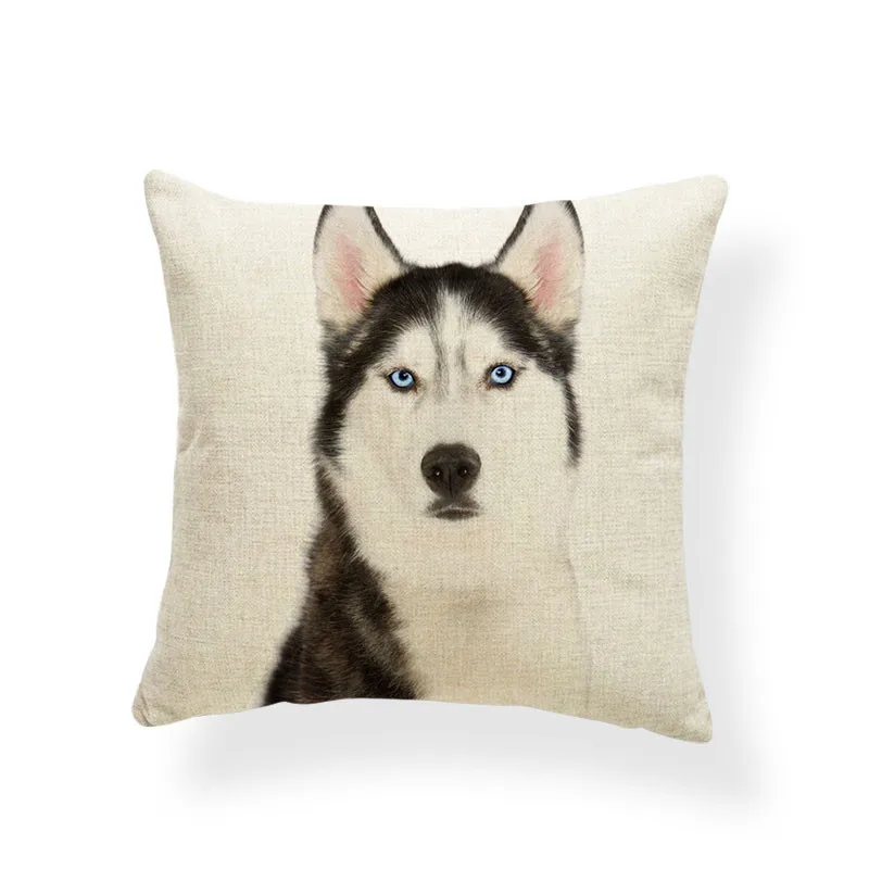 AB9207 (7) Husky