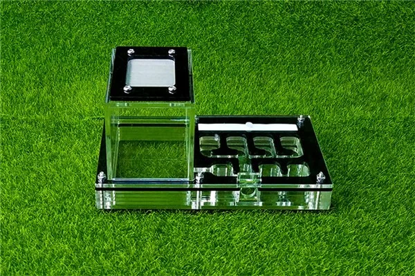 new-ant-nest (2)