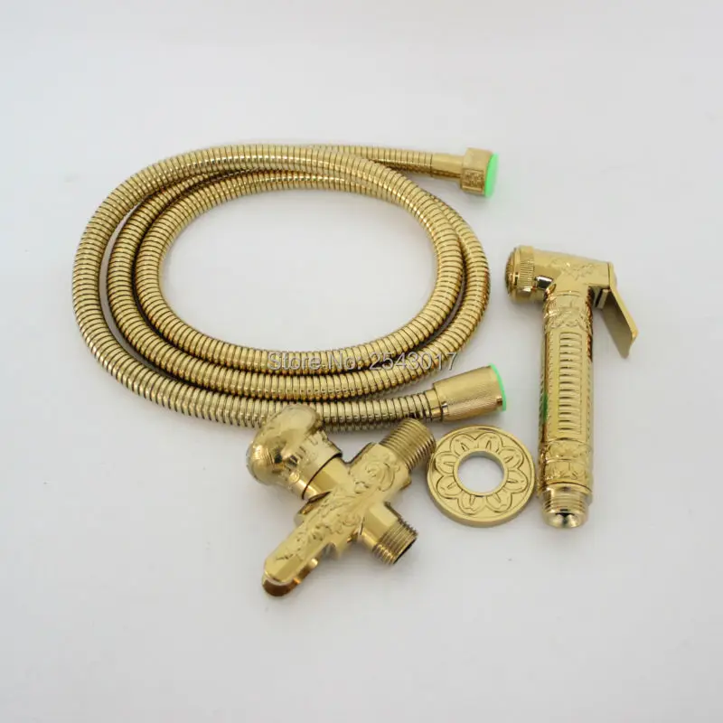 GI43 (8)