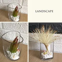 Прозрачная стеклянная ваза модный дизайн сердце стиль DIY дизайнерский Декор стеклянный горшок настольное украшение домашнего декора ваза