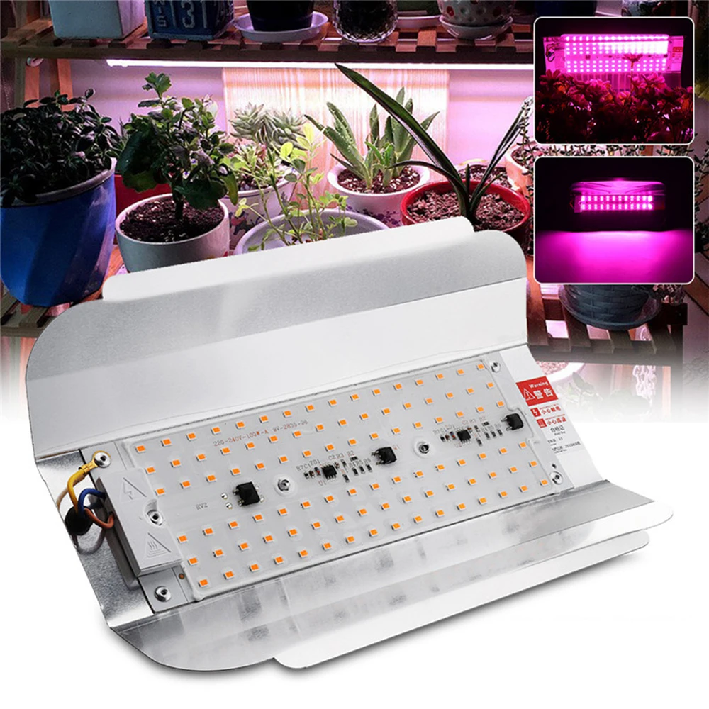 Full Spectrum 50W 100W LED Grow Light Hydroponic Veg Flower Plant Grow Lamp IP65 