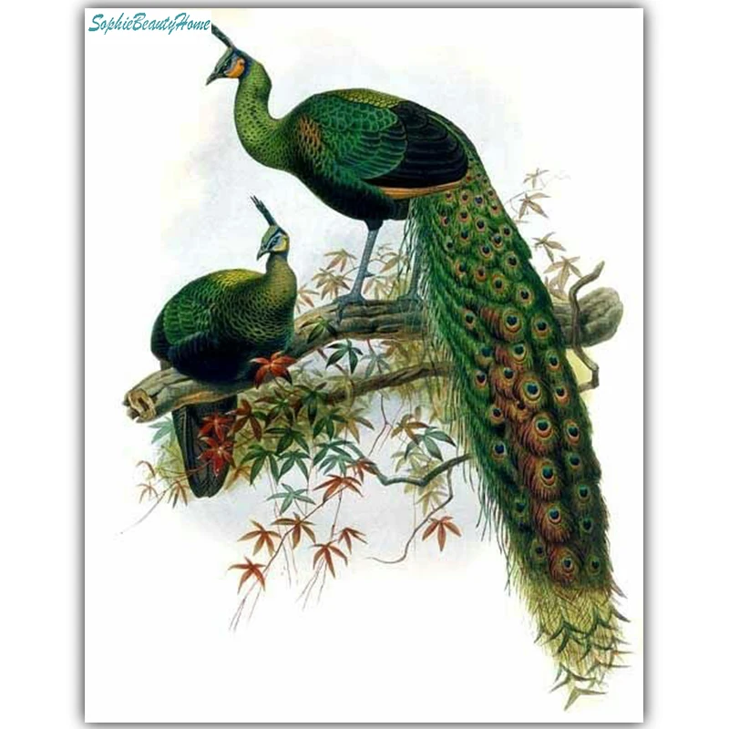 

Sophie beauty home diy painted diamonds 5D cross stitch green diamond peacock 3D mosaic diamond butterfly sewing craft gifts