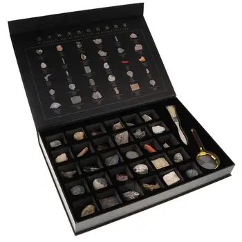 

30pcs Natural Fossils Specimen Geology Collection Experiment Exploration Game Science Learning Educational Toys Gift Children