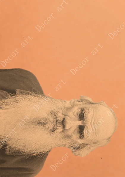Русская критическая литература Leo Tolstoy холст живопись винтажные настенные