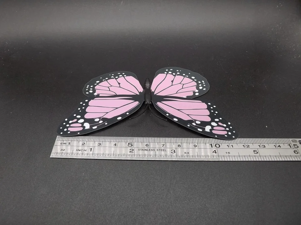 I242-Butterfly (11)