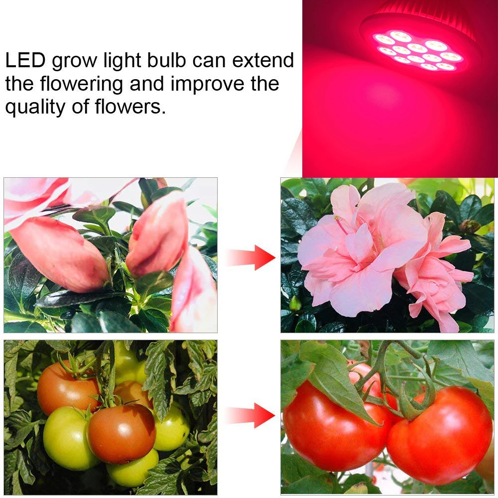  Red 630nm E27 PAR38 LED Grow Light 36W Bulb for Grow atage in hydroponics Lighting and Aquarium Reef coral Lamp (10)