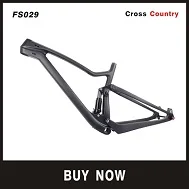 FS029