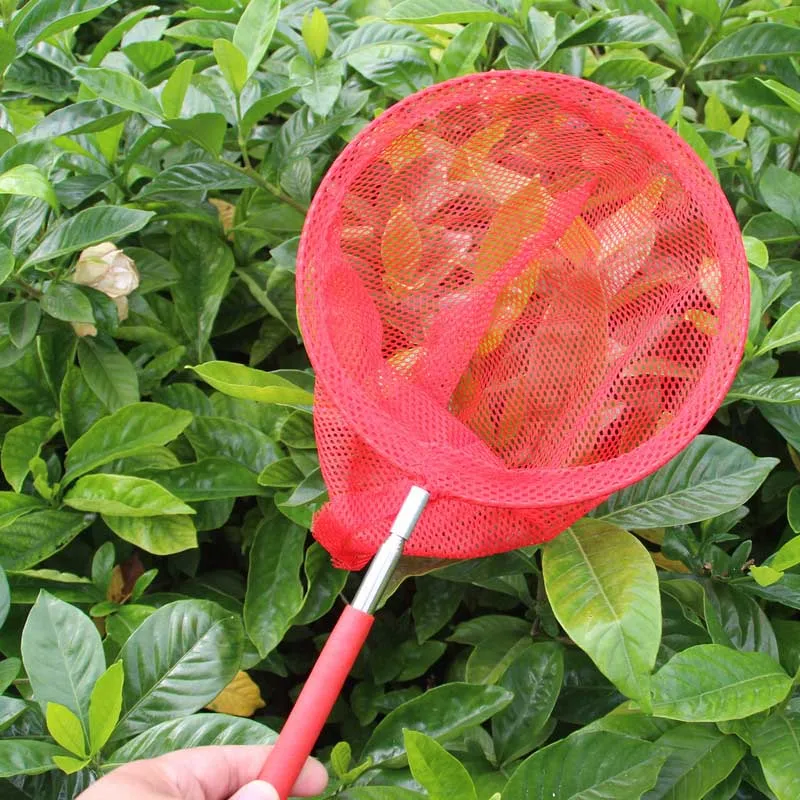 

3pcs Butterfly Net Telescopic Extendable For Catching Bugs Insect Small Fish Children Kids QP2
