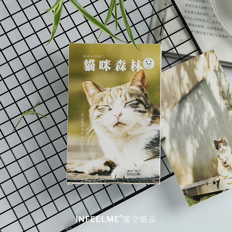 

Infeel.me cat forest postcard Bookmark greeting card Letter paper 1 lot = 1 pack = 30 pcs