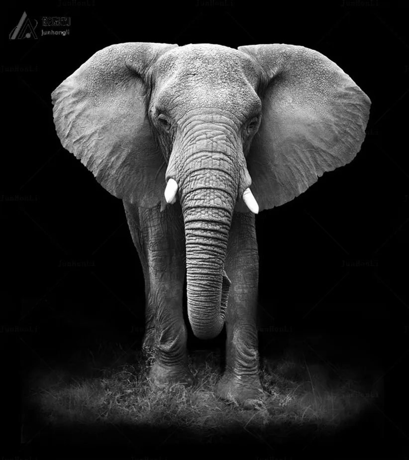 Room-Canvas-Print-Modern-Painting-Large-Canvas-1Pcs-No-Frame-Elephant-Painting-Canvas-Wall-Art-Picture