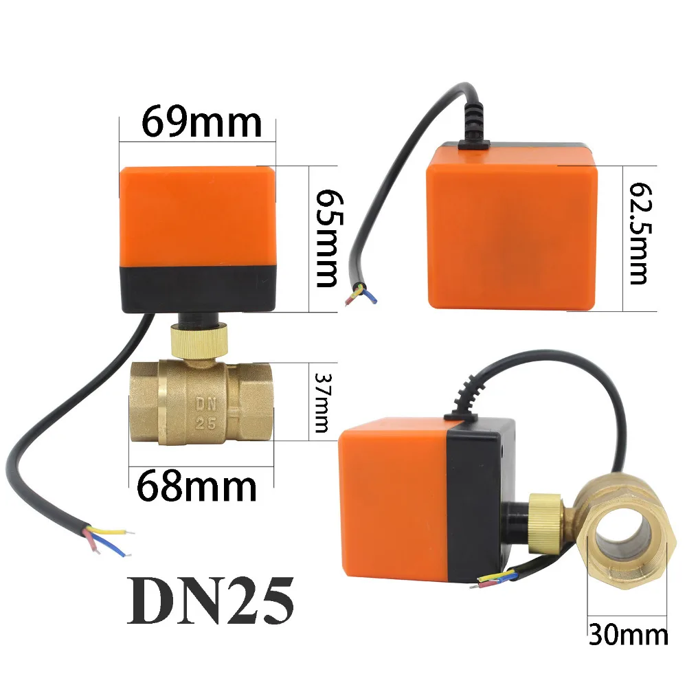 DN25