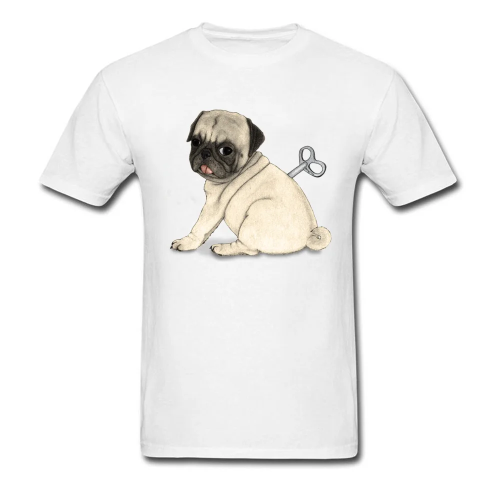 Toy Dog; Pug_white