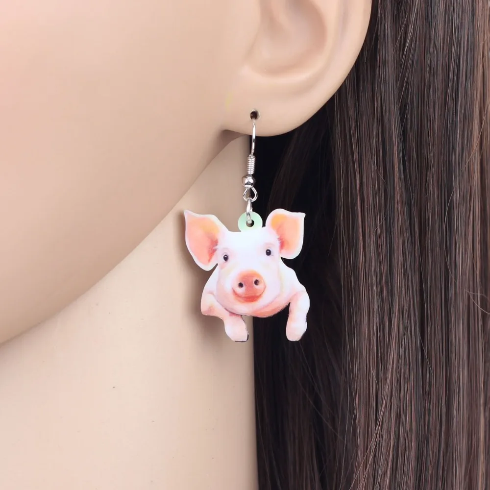 1 Paire Boucles D'oreilles Mignon Animal Dessin Animé \u0026 Bande Dessinée  Adapté Pour Tous Les, image size:1000x1000