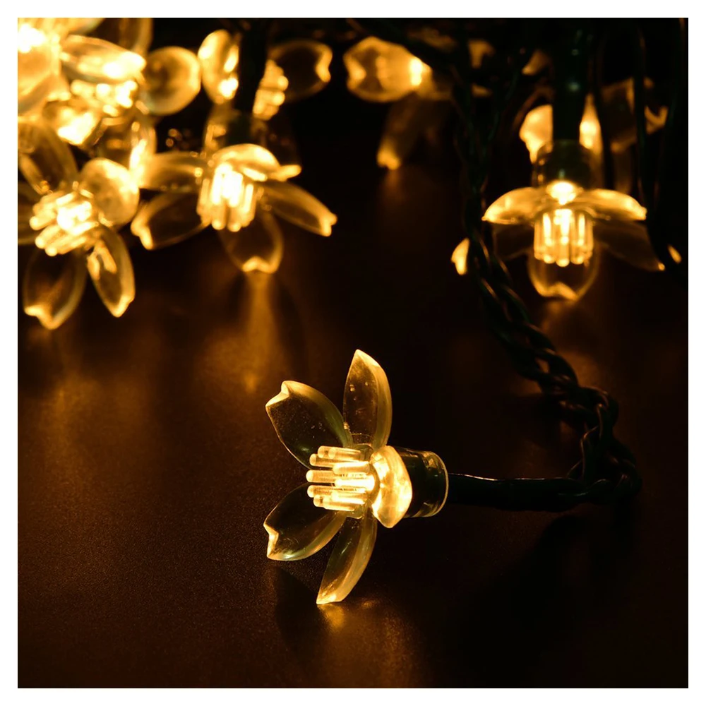 string lights for indoor plants